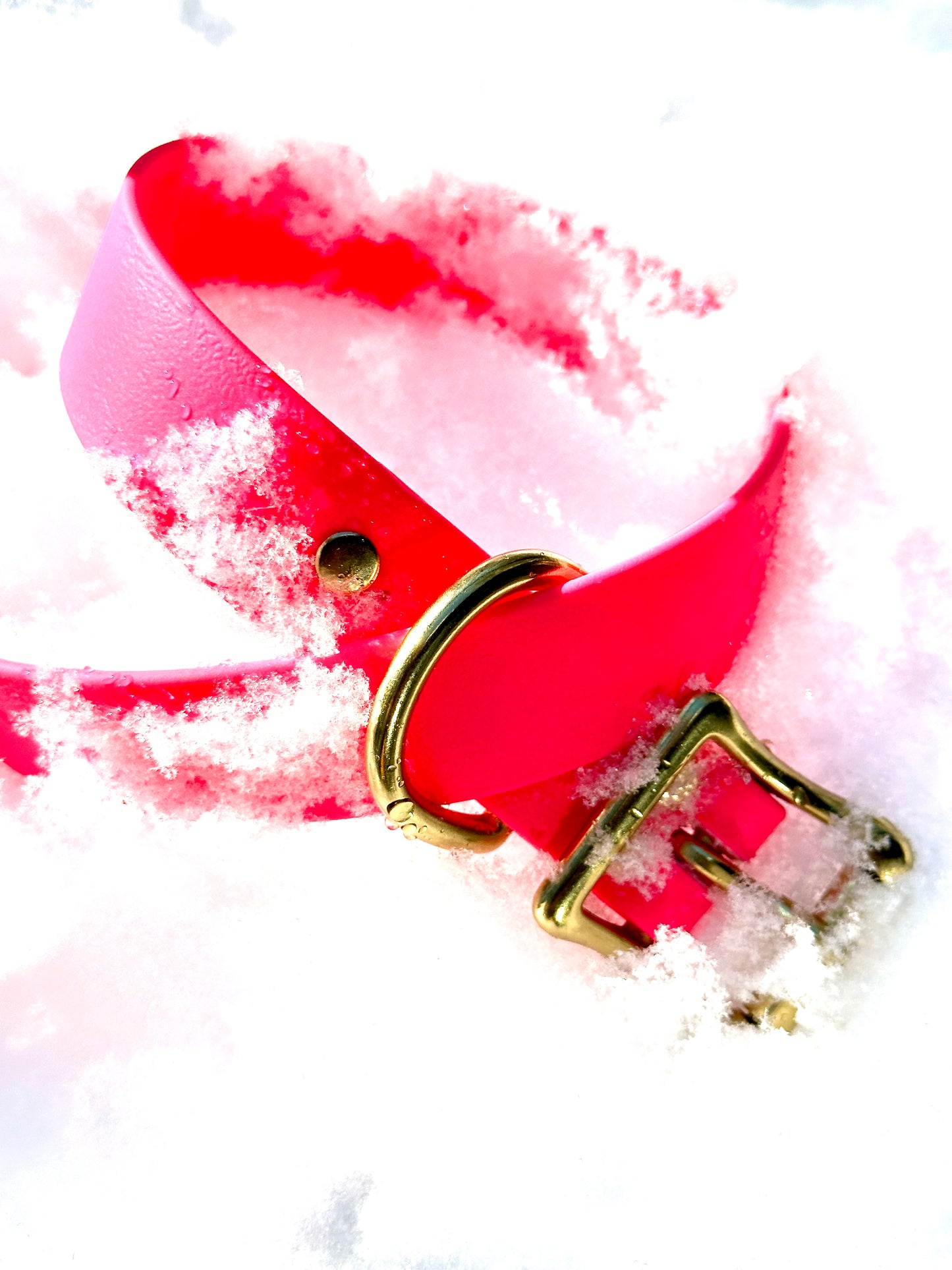 Passionfruit Pink Waterproof Durable Sporty Biothane Buckle Snow Collar for Active Fun Loving Dogs 20+ Bright Vibrant Colors Making Your Dog Easy to Spot