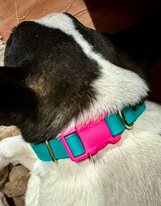 Two-Tone Collar and Leash Set Adjustable Lightweight Biothane Quick Release Buckle Collar, All Waterproof w/Solid Brass Premium Hardware, Turquoise + Hot Pink