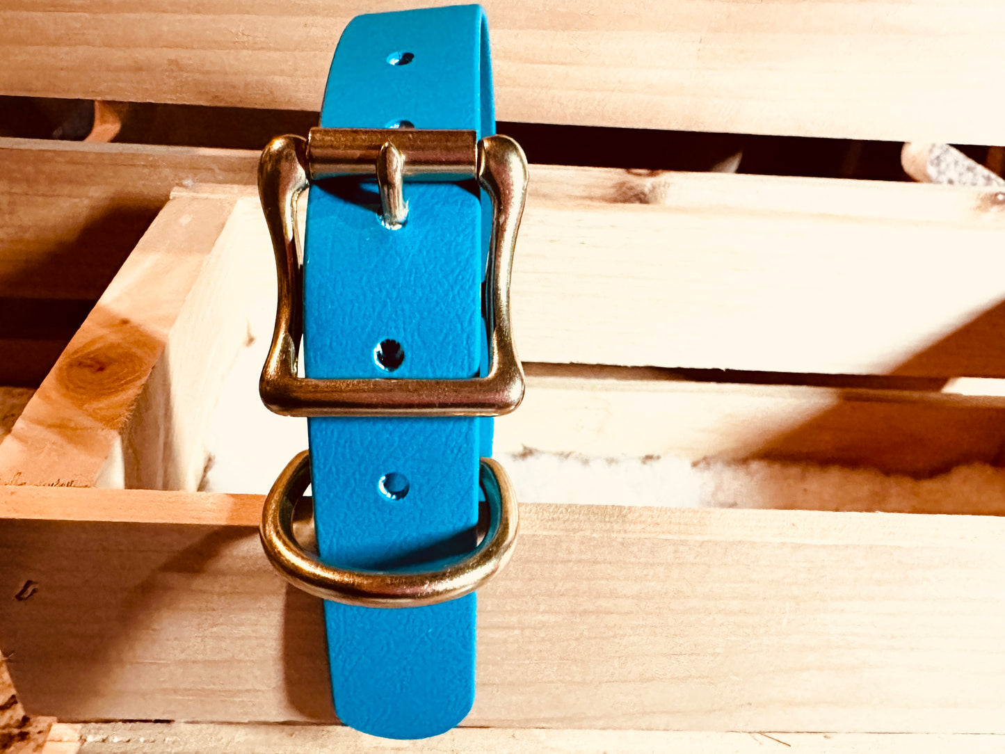 Teal Blue Waterproof Durable & Practical Sporty Biothane Buckle Collar for Active Fun Loving Dogs - Vibrant Colors Making Your Dog Easy to Spot