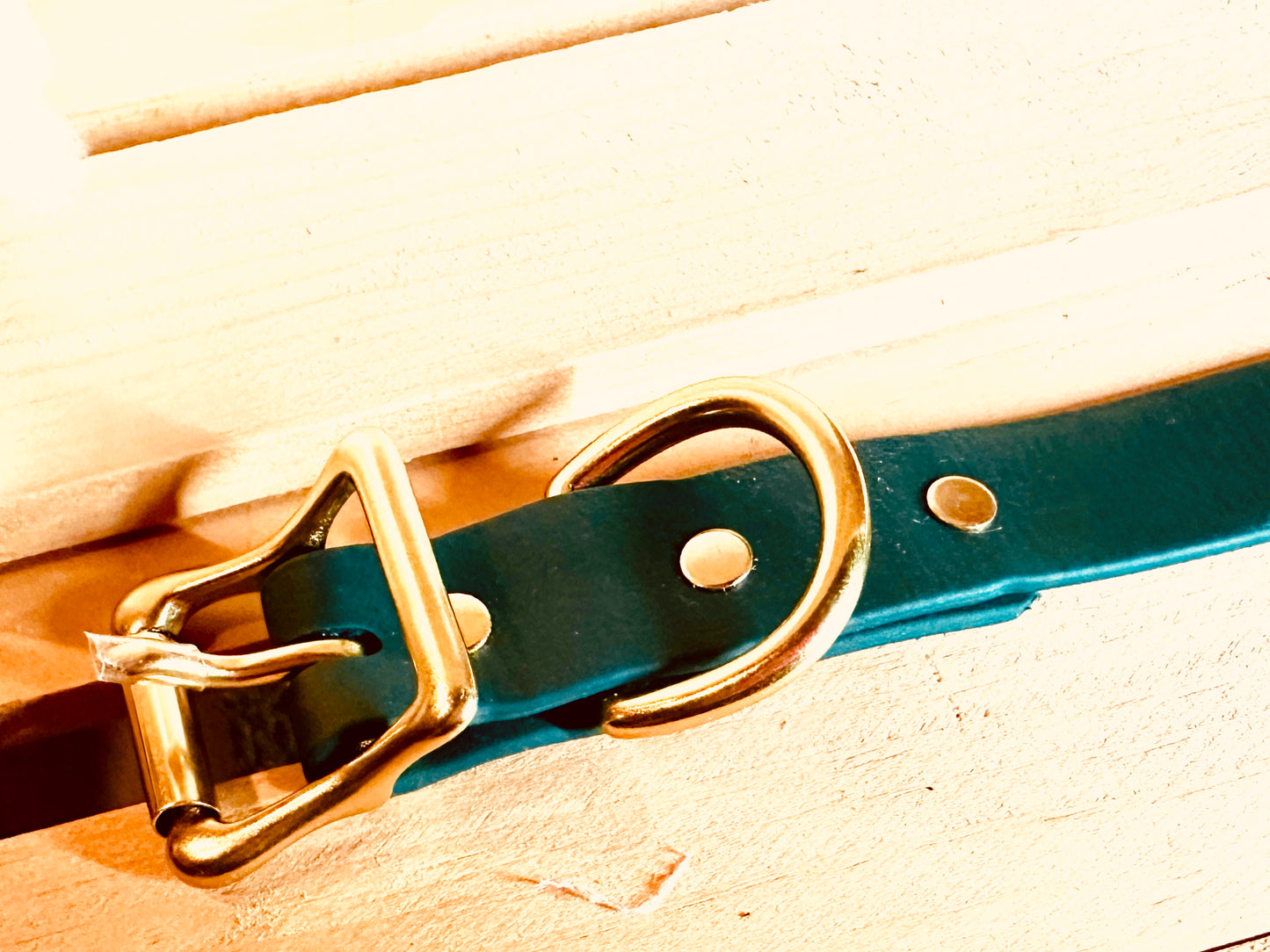 Forest Green Durable Sporty Practical Waterproof Dog Collar, Solid Brass Rustproof Hardware Vibrant Colors Make it Easy to Spot Your Dog