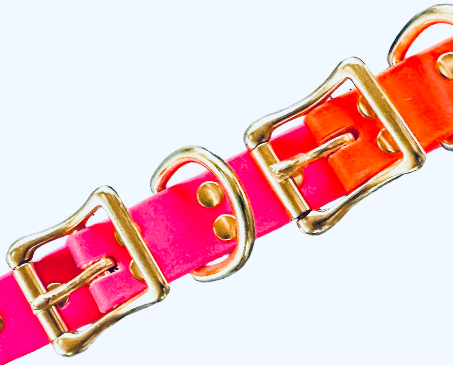 Fuschia Waterproof Durable Sporty Standard Biothane Buckle Snow Collar for Active Fun Loving Dogs - Vibrant Colors Making Your Dog Easy to Spot 3 Widths