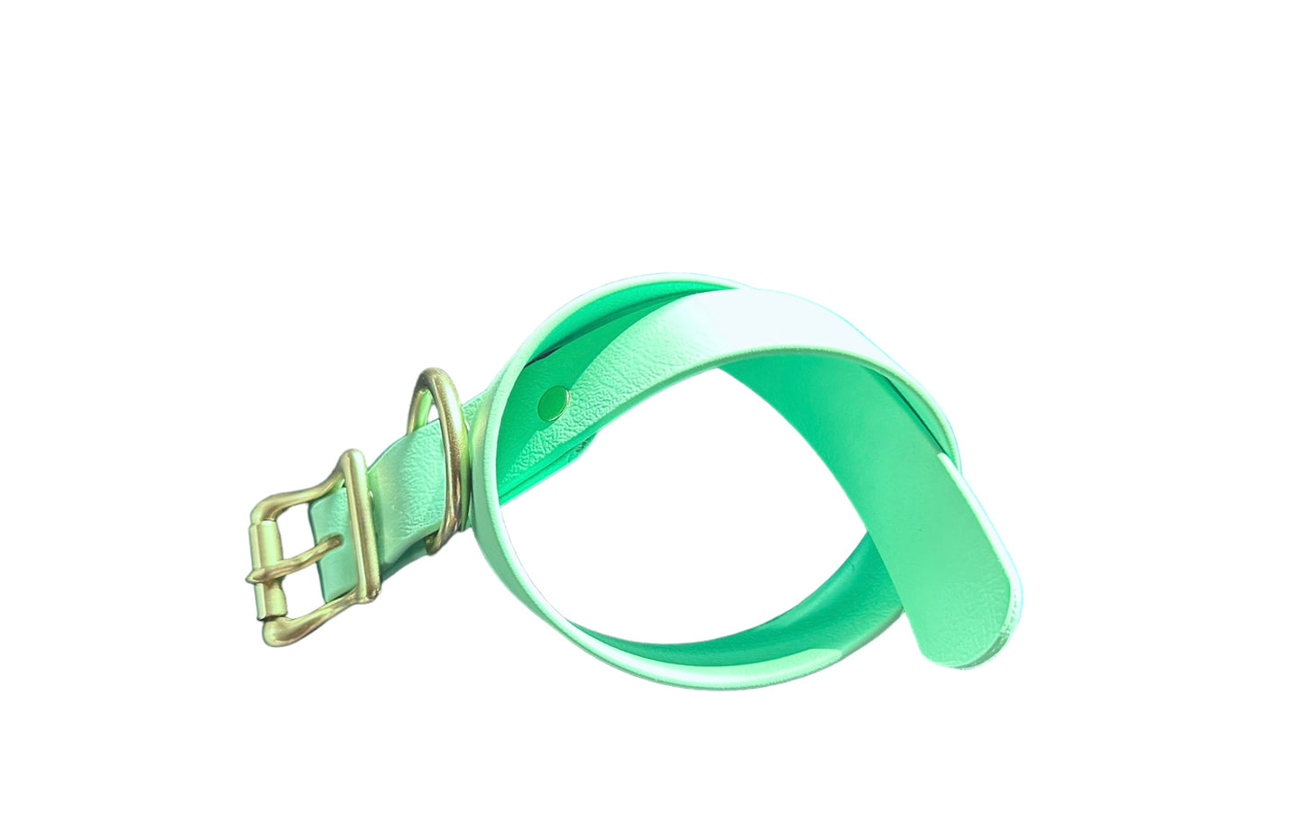Seafoam Durable Sporty Practical Waterproof Dog Collar, Solid Brass Rustproof Hardware Vibrant Colors Make it Easy to Spot Your Dog