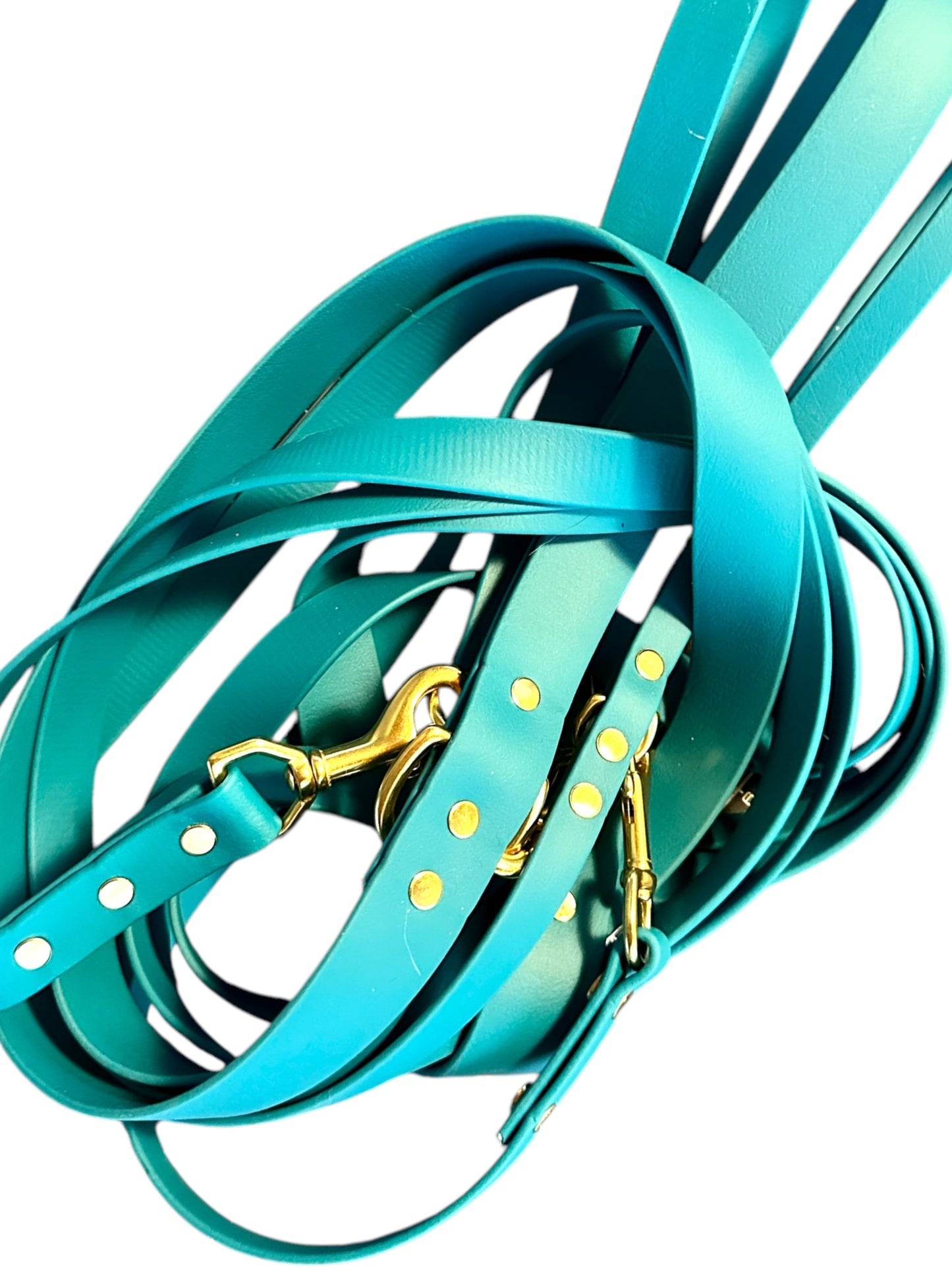 Teal Blue Waterproof 6' (3 Widths) Leash w/Solid Brass Swivel Bolt Snap and D-ring, Odorproof, Easy to Clean, Practical Lead For Active Adventure Loving Dogs