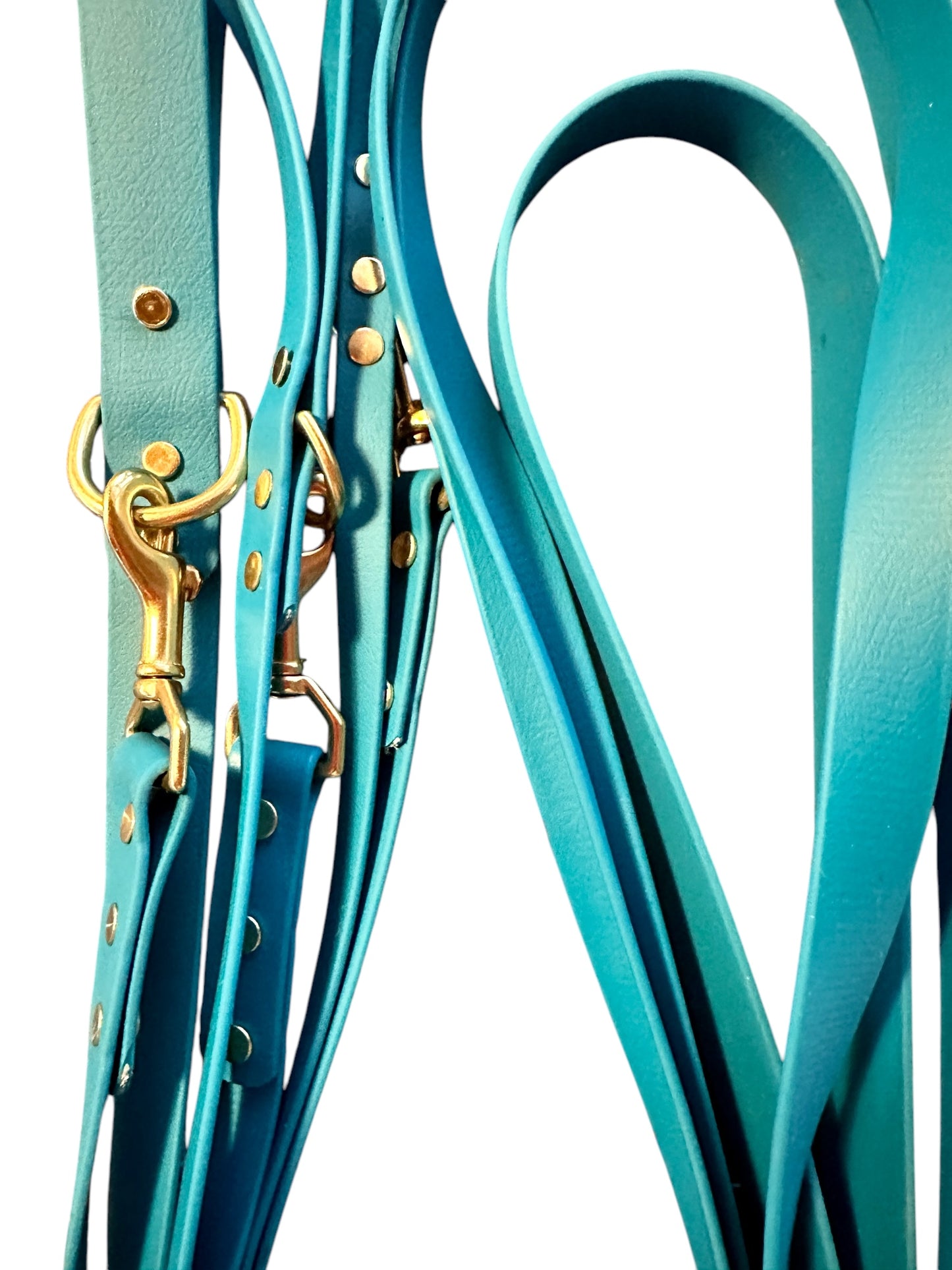 Teal Blue Waterproof 6' (3 Widths) Leash w/Solid Brass Swivel Bolt Snap and D-ring, Odorproof, Easy to Clean, Practical Lead For Active Adventure Loving Dogs