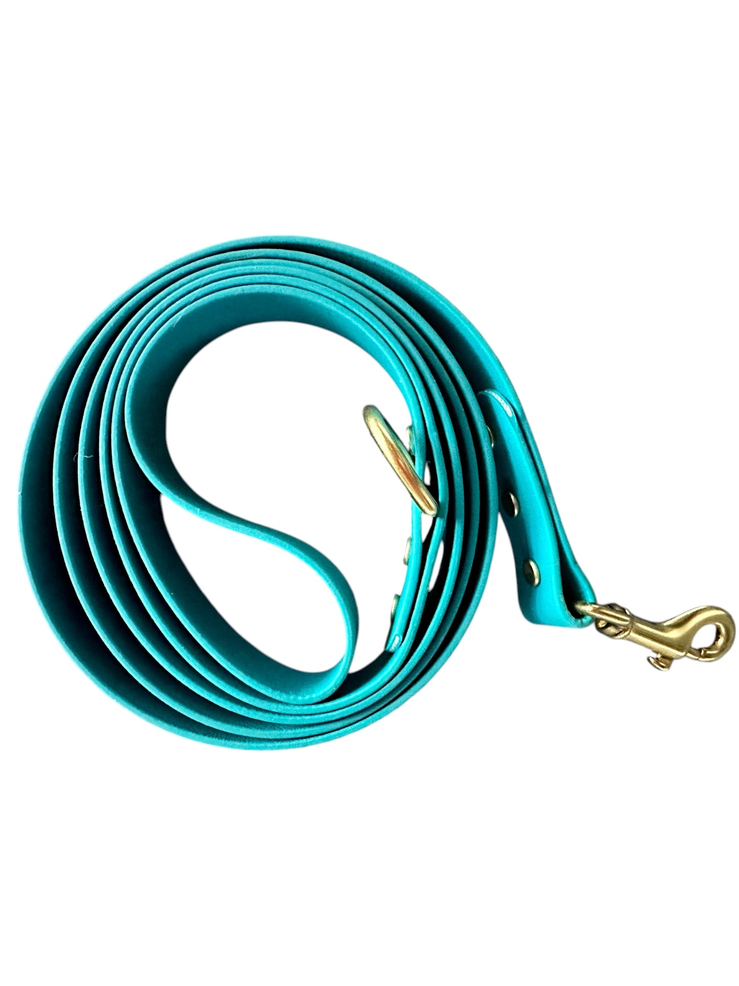 Tropical Turquoise Waterproof 6' (3 Widths) Leash w/Solid Brass Swivel Bolt Snap and D-ring, Odorproof, Easy to Clean, Practical Lead For Active Adventure Loving Dogs