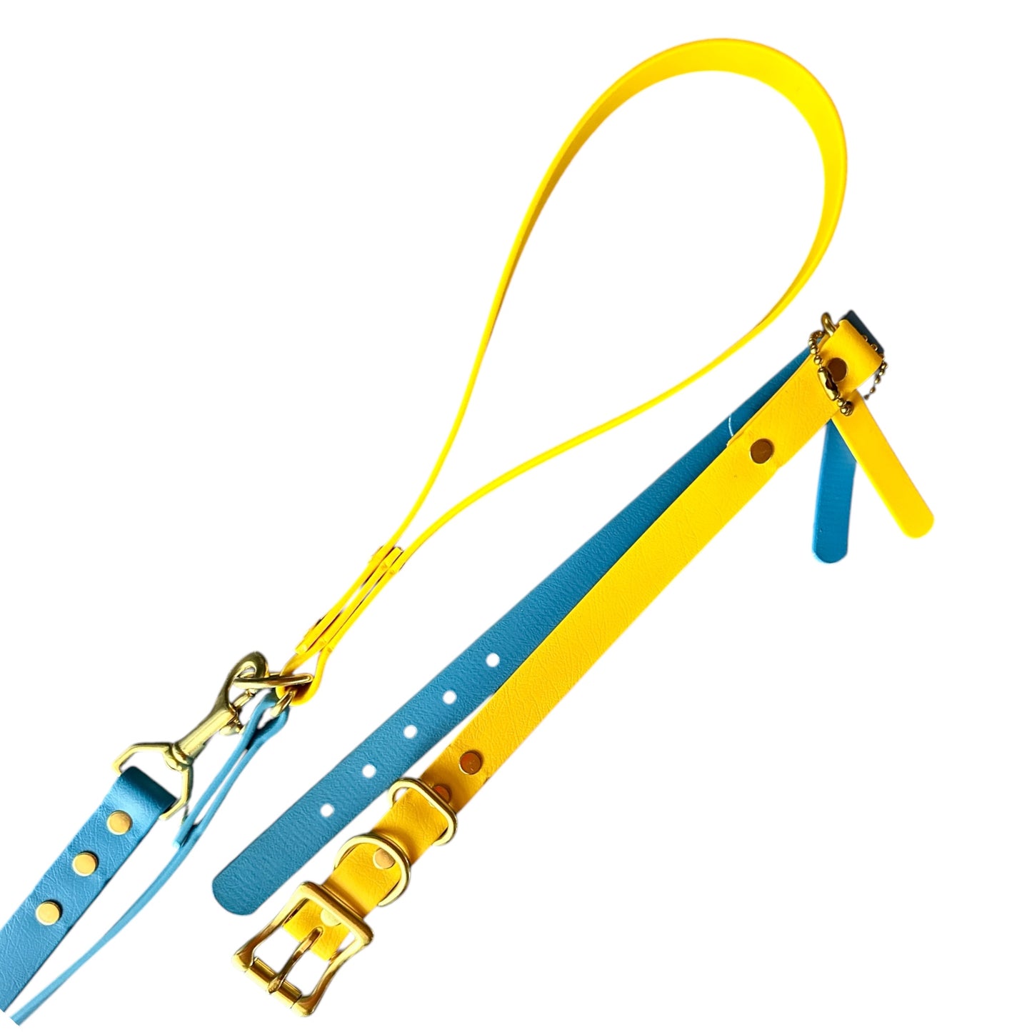 Ukraine Collection Dog Collars Two-Tone Blue and Yellow to Show Your Support