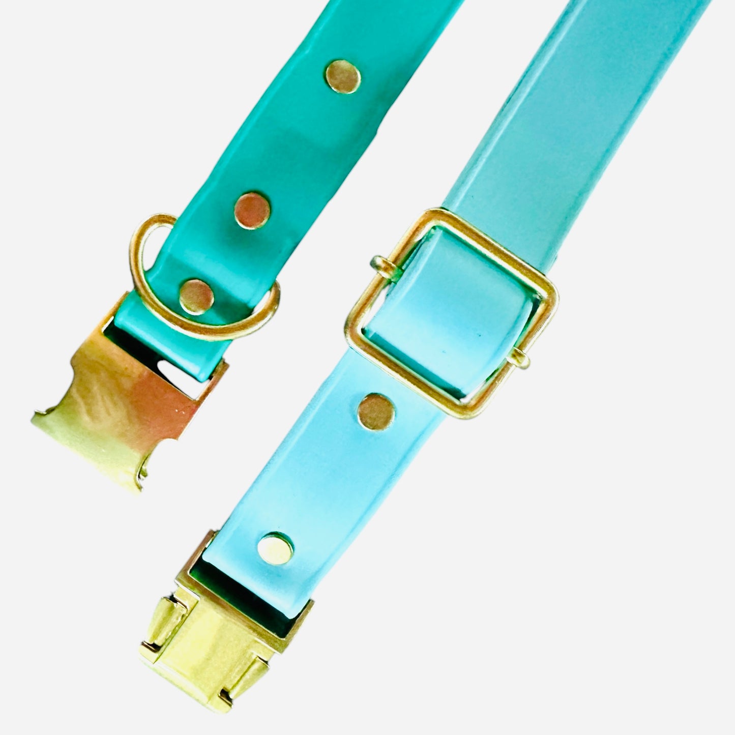 Waterproof Lightweight 1" Adjustable Biothane Dog Collar w/Solid Brass Quick Release Buckle Beautiful Bright Colors Soft Strong and Flexible