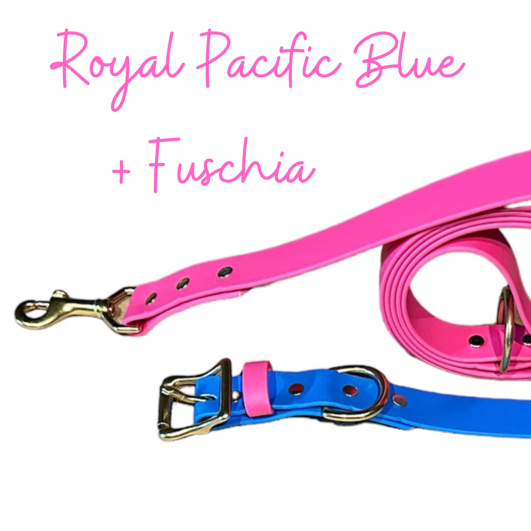 Fuschia Waterproof Durable Sporty Standard Biothane Buckle Snow Collar for Active Fun Loving Dogs - Vibrant Colors Making Your Dog Easy to Spot 3 Widths