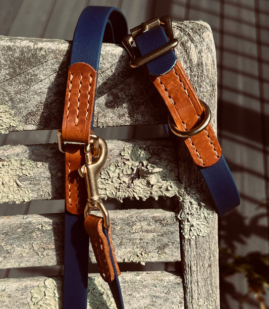 Chestnut and Navy Leather and Biothane Dog Collar, Sporty Weather Resistant Dog Collar