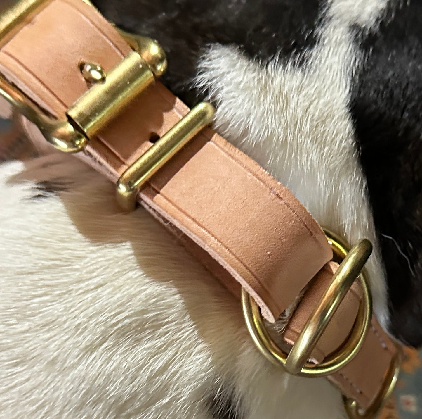 Rugged Gentle Choke Collar, All Natural Tan Heavy Leather and Solid Brass LIMITED Adjustable Choke Collar