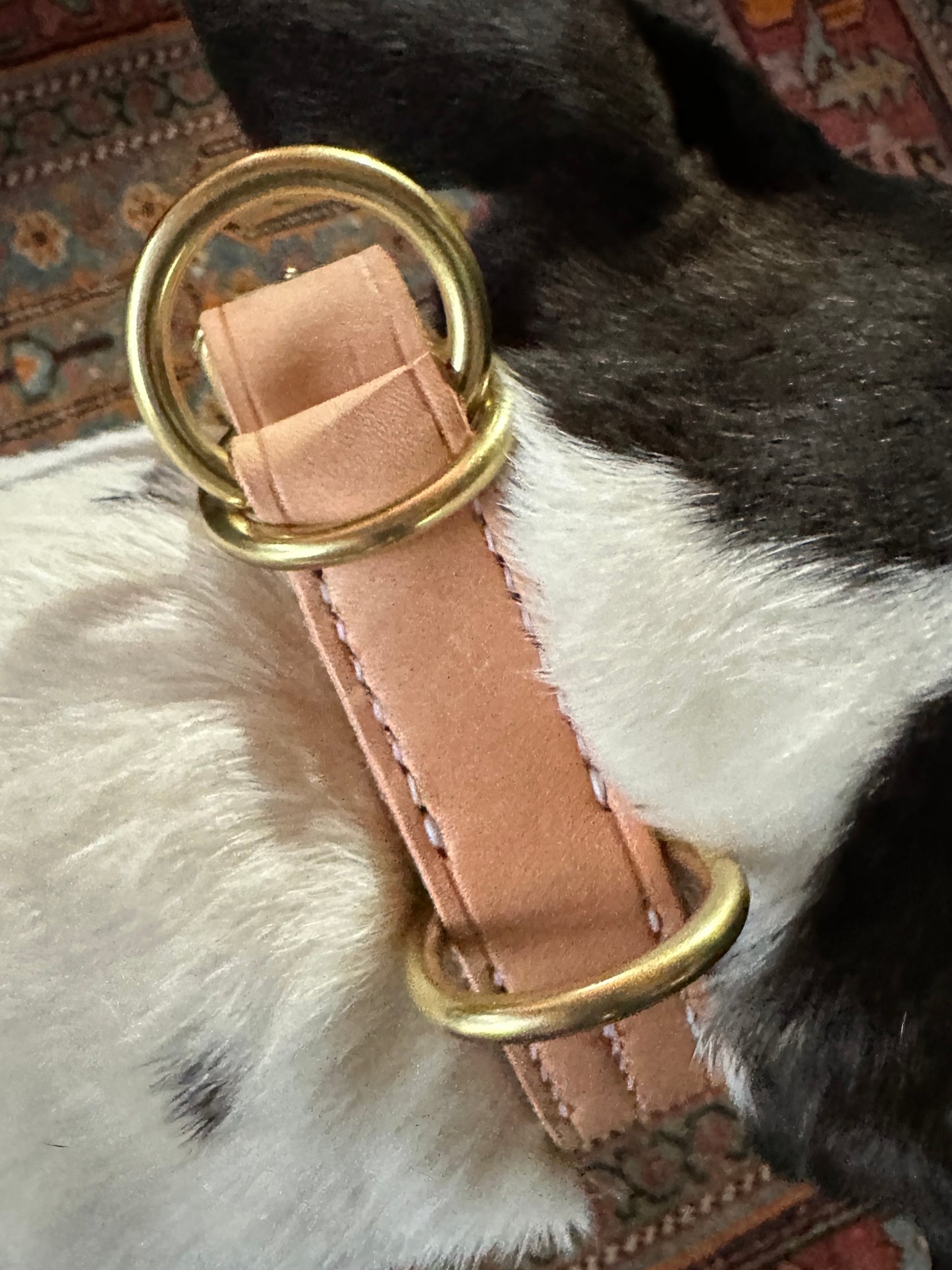 Rugged Gentle Choke Collar, All Natural Tan Heavy Leather and Solid Brass LIMITED Adjustable Choke Collar