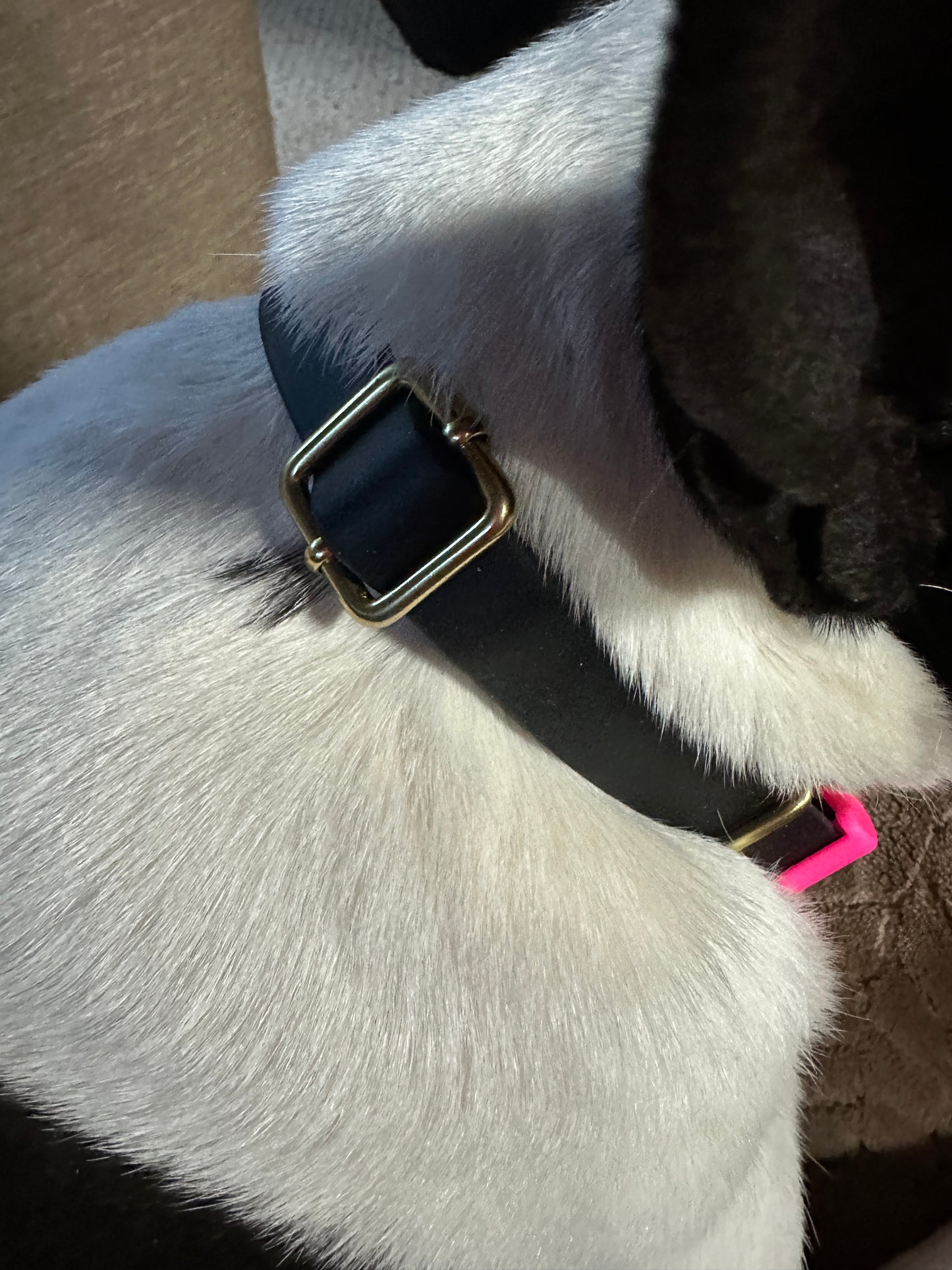 Adjustable Lightweight Biothane Quick Release Buckle Collar, All Waterproof w/Solid Brass Premium Hardware, Two-Tone Collar & Leash Set, Black and Hot Pink, Curated Collar and Leash Set