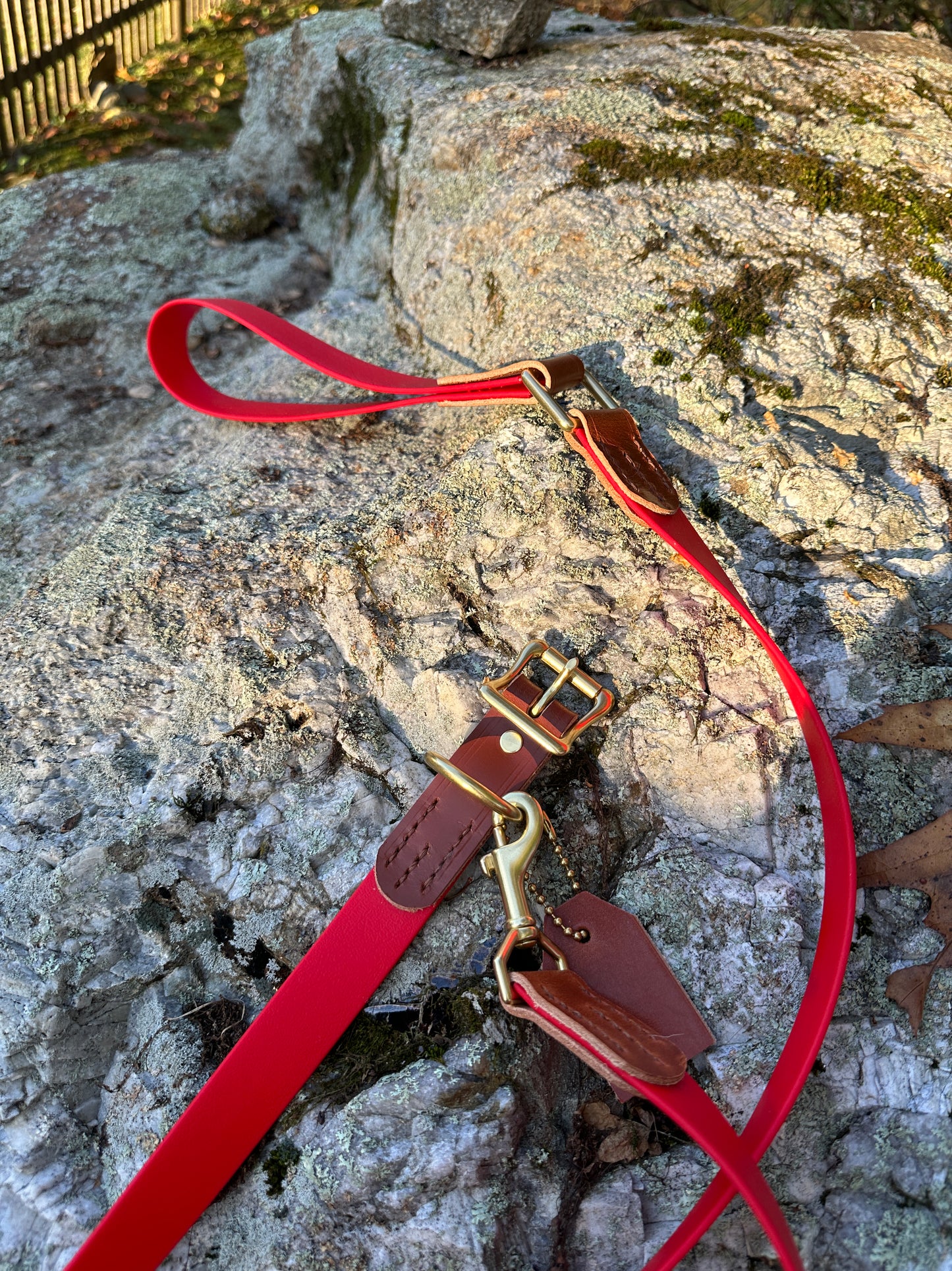 Biothane and Leather 1" Collar and Leash Set, Cherry Red and Chestnut, Bundle