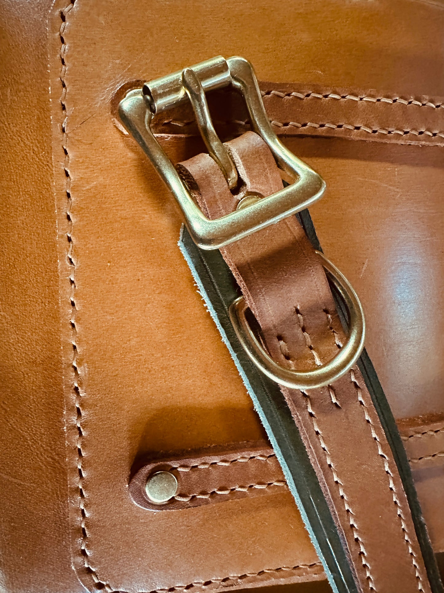 Italian Two-Tone Leather Collar, Biscuit and Olive, 3/4" Roller Buckle