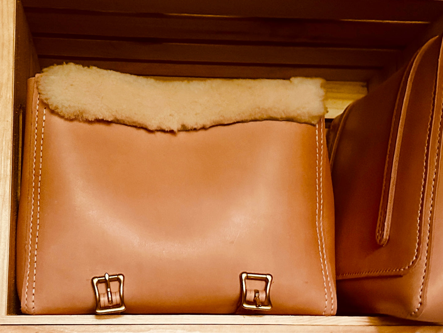 Portfolio of Bags
