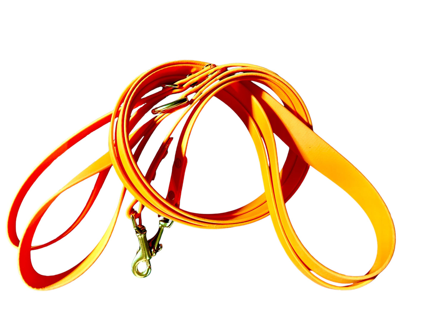 Bright Pumpkin Waterproof 6' (3 Widths) Leash w/Solid Brass Swivel Bolt Snap and D-ring, Odorproof, Easy to Clean, Practical Lead For Active Adventure Loving Dogs