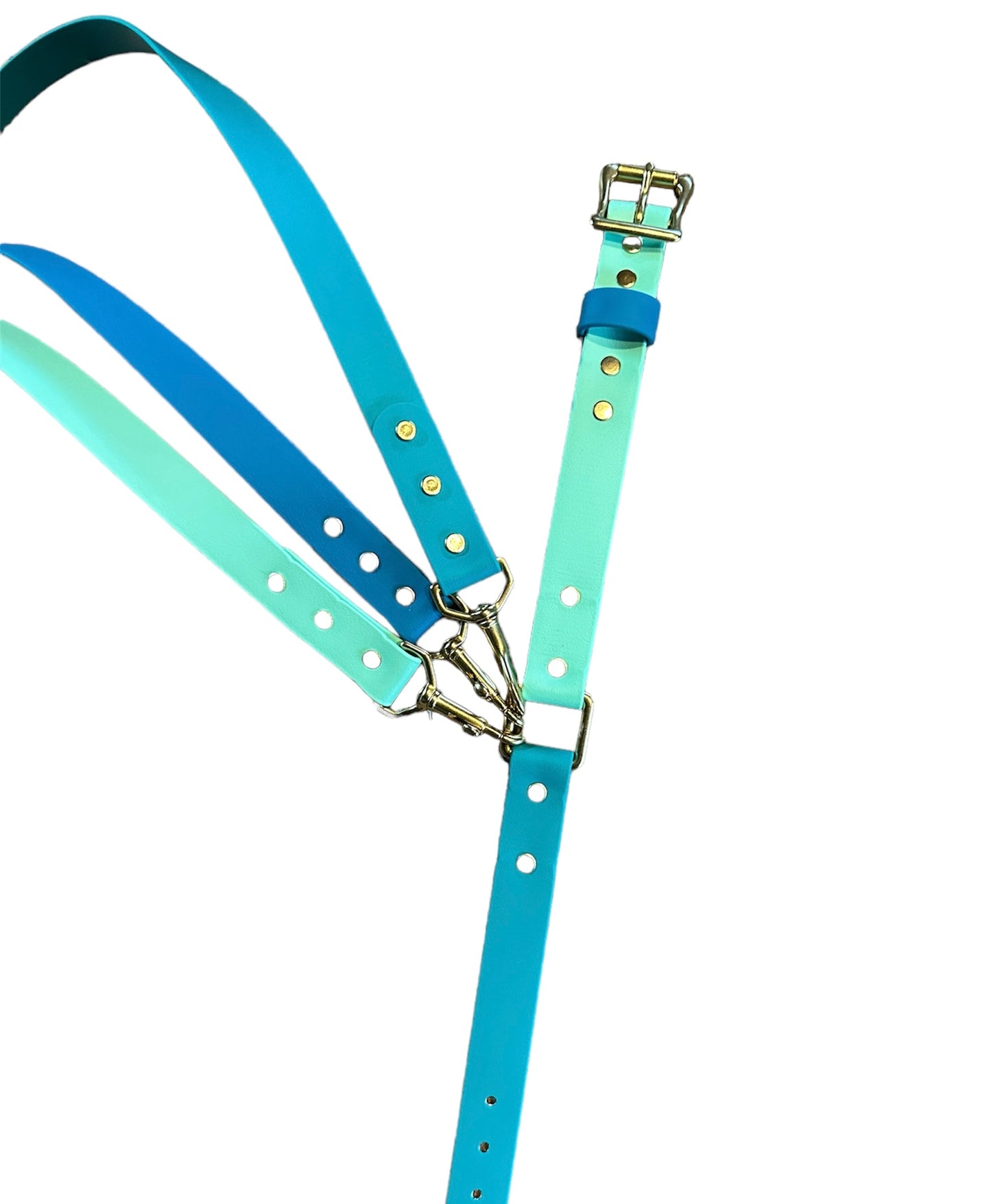 Sporty Two-Tone Waterproof Safety/Field Collar, Tropical Green + Seafoam w/Teal Blue Keeper + Rustproof Shiny Solid Brass Hardware