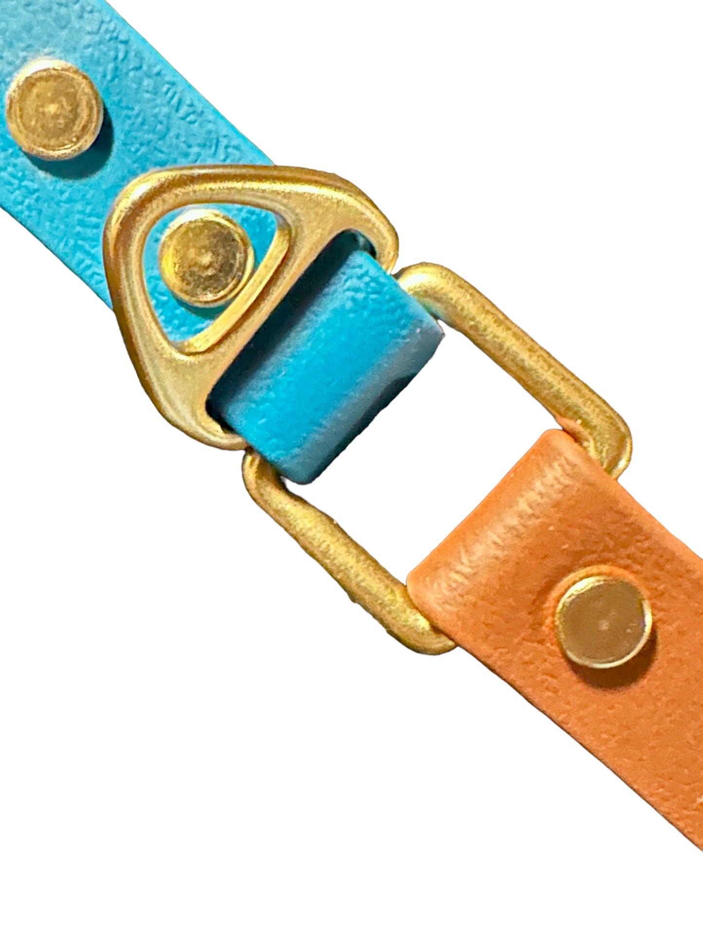 3/4" Two-Tone Waterproof Leash w/Rustproof Heavy Premium Bolt Snap, Mountaineering D-Ring + Loop, Customizable Colors