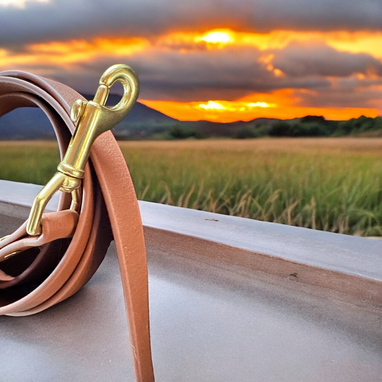 3/4" Two-Tone Waterproof Leash w/Rustproof Heavy Premium Bolt Snap, Mountaineering D-Ring + Loop, Customizable Colors