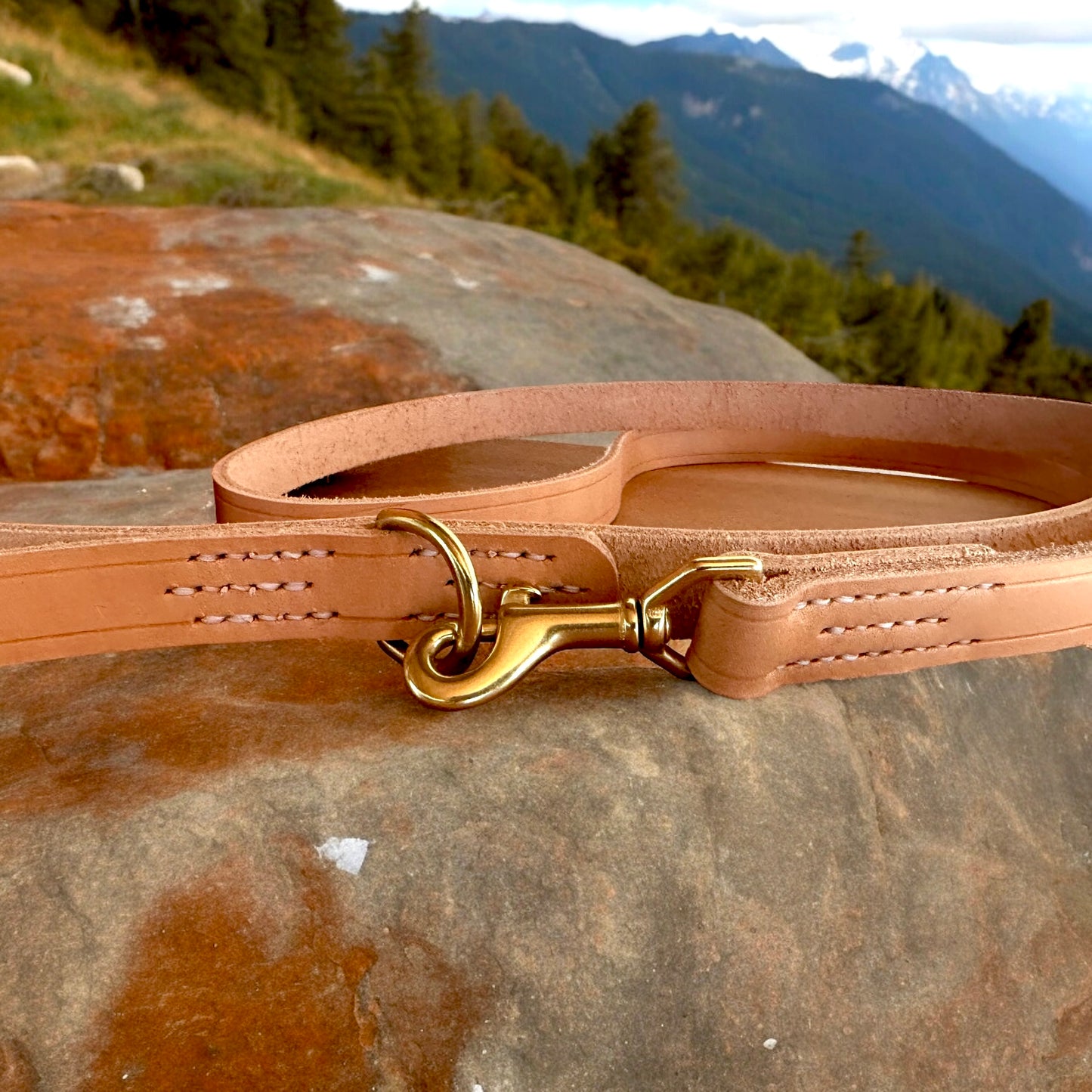 Heavy All Natural Veg Tanned American Leather 6' Leash w/Solid Brass Rustproof Hardware,  Durable, Rugged, and Extra Thick