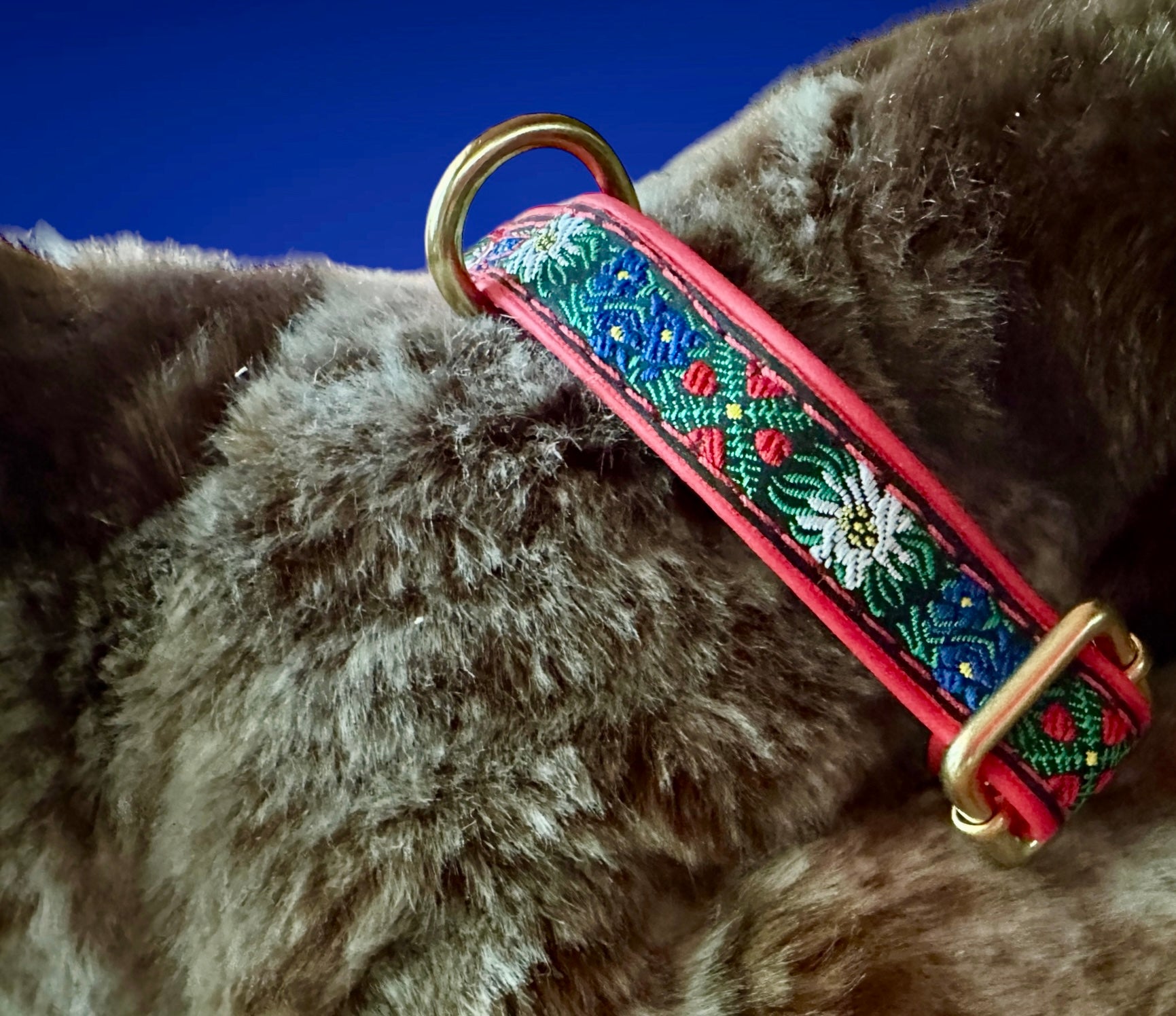 Sound of Music Edelweiss Collar Leash Set/Bundle, Adjustable Soft Lightweight W/Quick Release Buckle Shiny Solid Brass