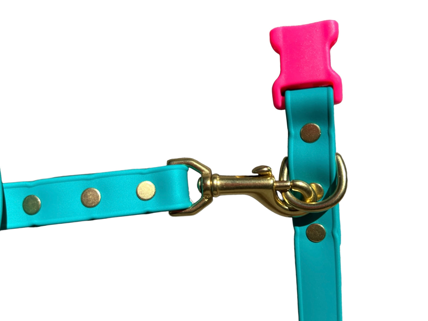 Adjustable Lightweight Biothane Quick Release Buckle Collar, All Waterproof w/Solid Brass Premium Hardware, Two-Tone Collar & Leash Set, Turquoise + Hot Pink, Curated Collar and Leash Set