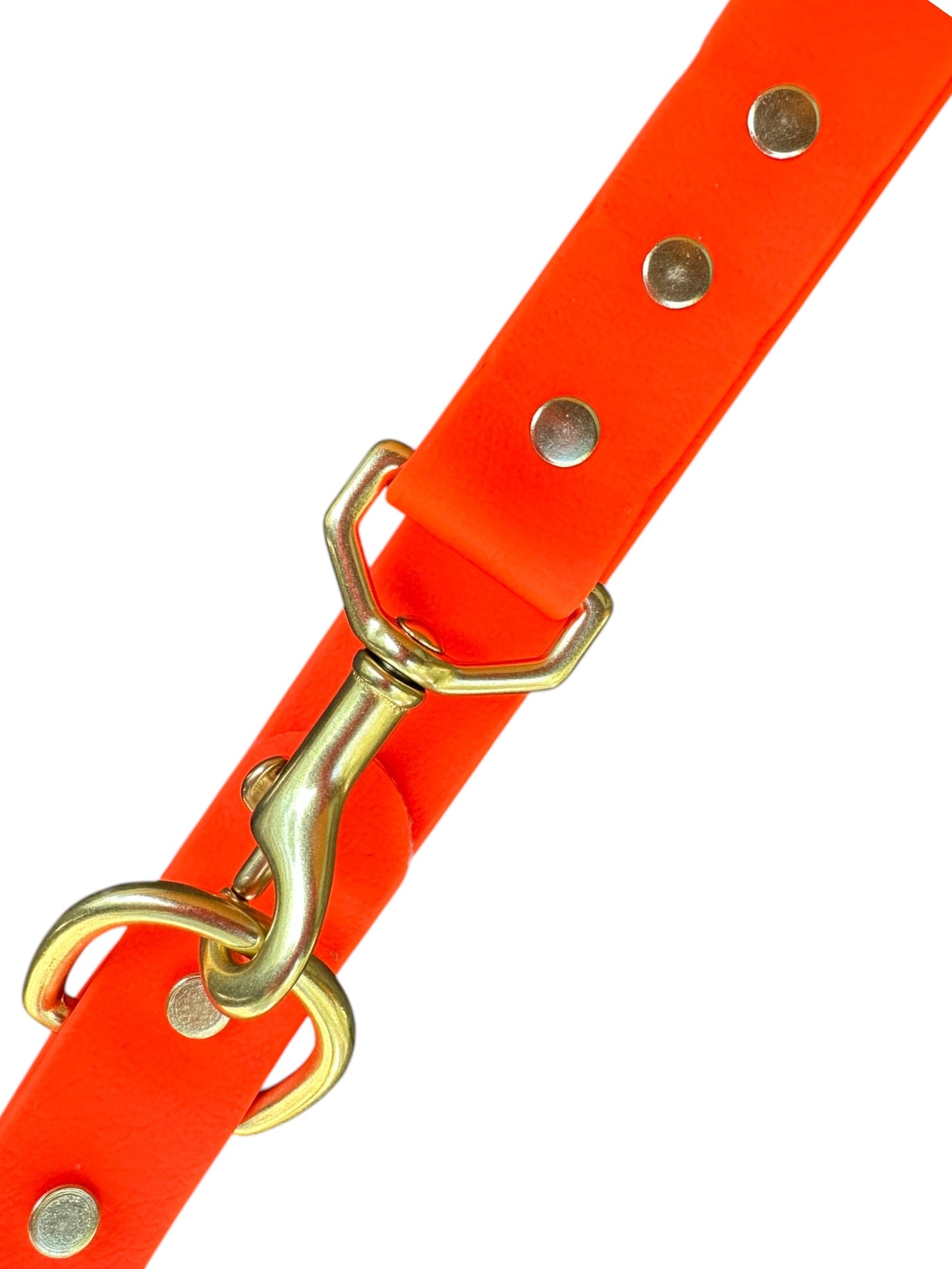 Hunter Orange Waterproof 6' (3 Widths) Leash w/Solid Brass Swivel Bolt Snap and D-ring, Odorproof, Easy to Clean, Practical Lead For Active Adventure Loving Dogs