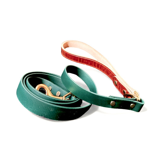 Two Tone Soft Heavy Olde English Leather and Biothane Leash, Evergreen, Red, or Black - a Rich. Good Looking Combination Lead