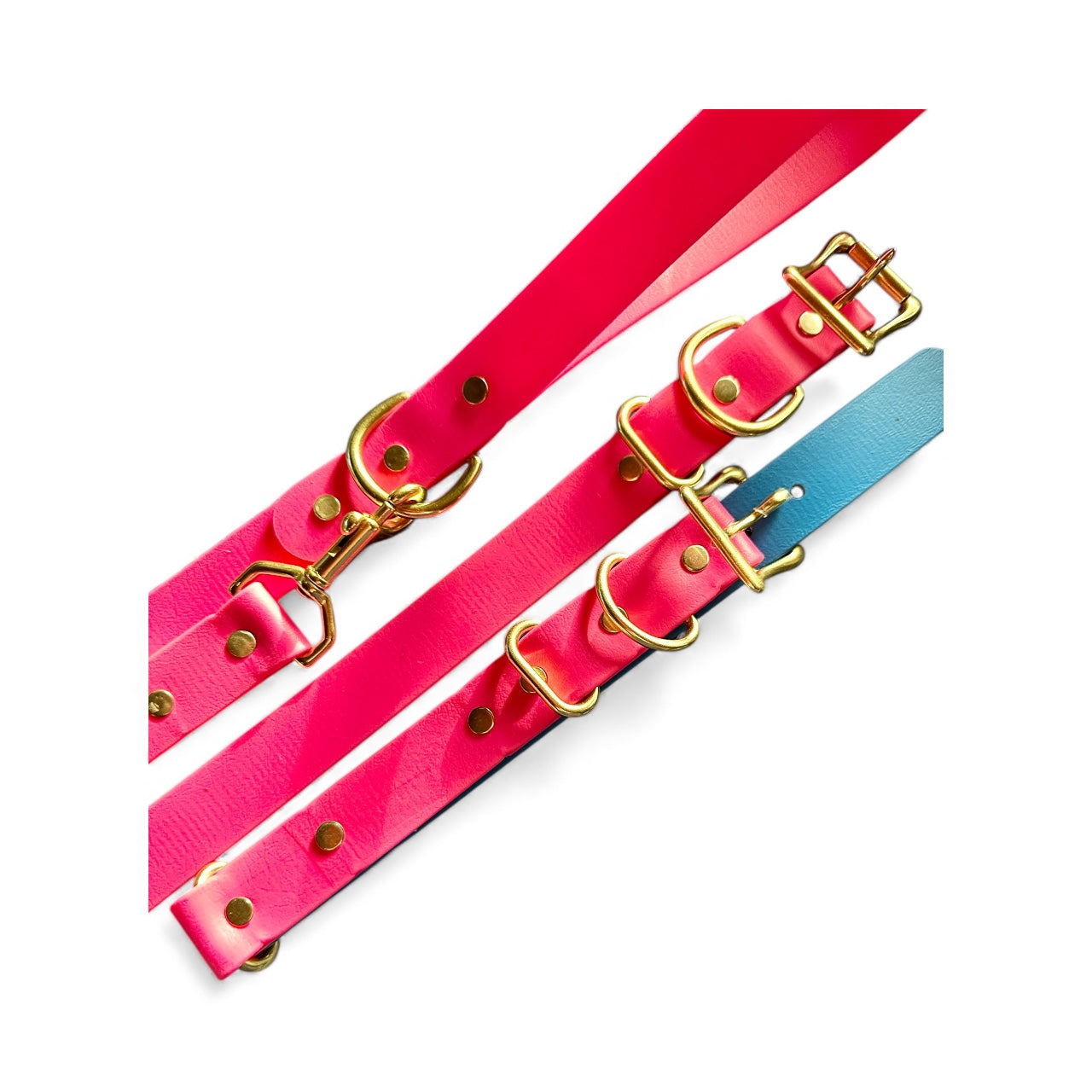 Fuschia Waterproof 6' (3 Widths) Leash w/Solid Brass Swivel Bolt Snap and D-ring, Odorproof, Easy to Clean, Easy to Spot Your Dog! Practical Lead For Active Adventure Loving Dogs