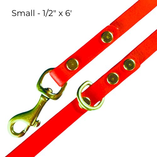 Cherry Red Waterproof 6' (3 Widths) Leash w/Solid Brass Swivel Bolt Snap and D-ring, Odorproof, Easy to Clean, Practical Lead For Active Adventure Loving Dogs