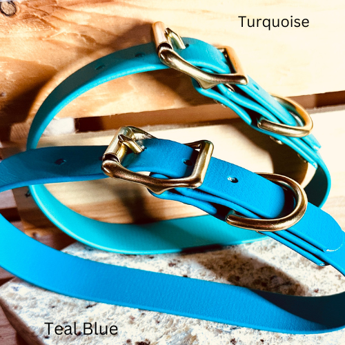 Turquoise Durable Sporty Practical Waterproof Dog Collar, Solid Brass Rustproof Hardware Vibrant Colors Make it Easy to Spot Your Dog