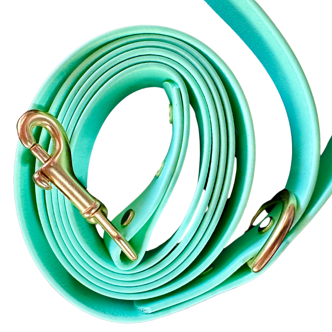 Seafoam Waterproof 6' (3 Widths) Leash w/Solid Brass Swivel Bolt Snap and D-ring, Odorproof, Easy to Clean, Practical Lead For Active Adventure Loving Dogs