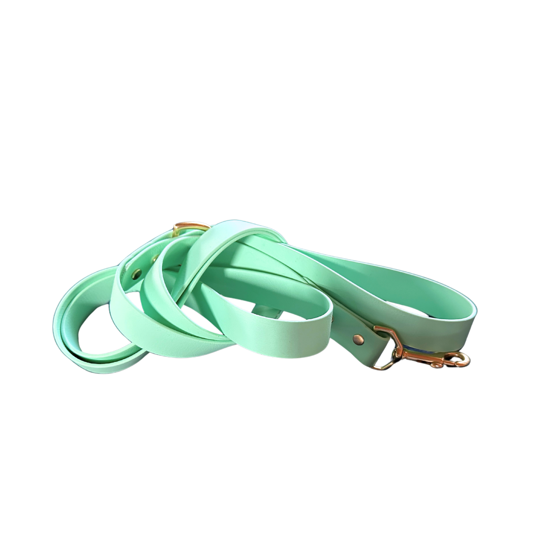 Seafoam Waterproof 6' (3 Widths) Leash w/Solid Brass Swivel Bolt Snap and D-ring, Odorproof, Easy to Clean, Practical Lead For Active Adventure Loving Dogs