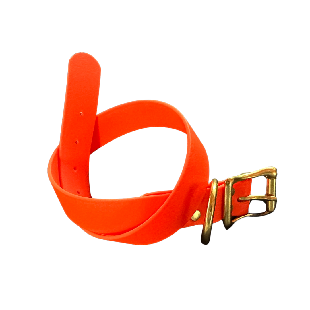 Biothane Waterproof Dog Collar, Bright Orange Crush with Solid Brass Rustproof Hardware