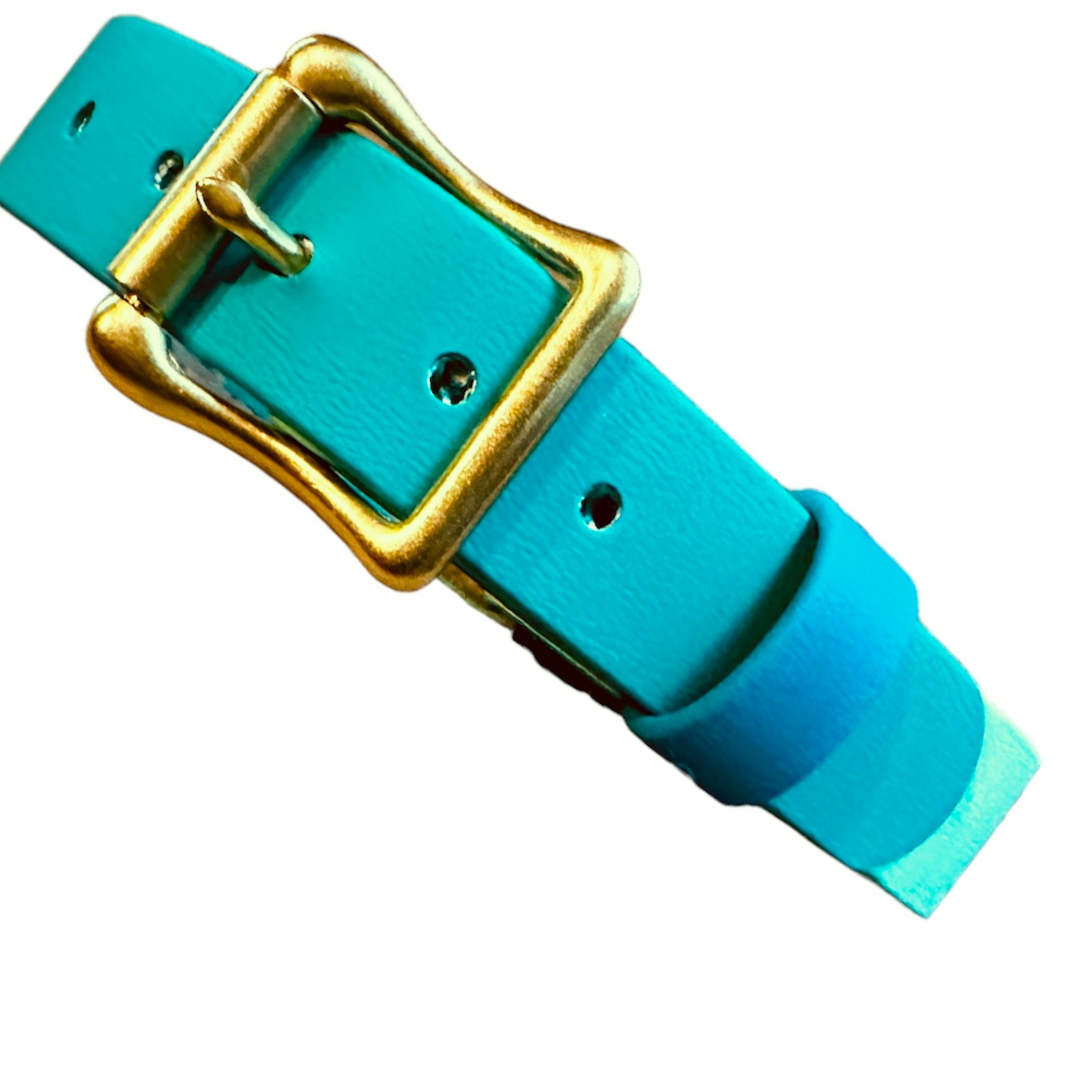 Sporty Two-Tone Waterproof Safety/Field Collar, Tropical Green + Seafoam w/Teal Blue Keeper + Rustproof Shiny Solid Brass Hardware