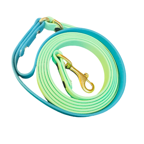 Two-Tone 1/2" Waterproof Leash w/Separate Handle - Choose Your Colors! Premium Solid Brass, Fun Customizable Summer Dog Gift