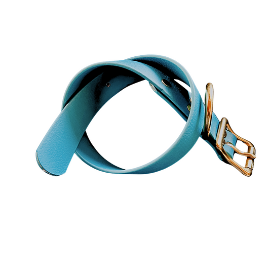 Biothane Waterproof Dog Collar, Teal Blue with Solid Brass Rustproof Hardware