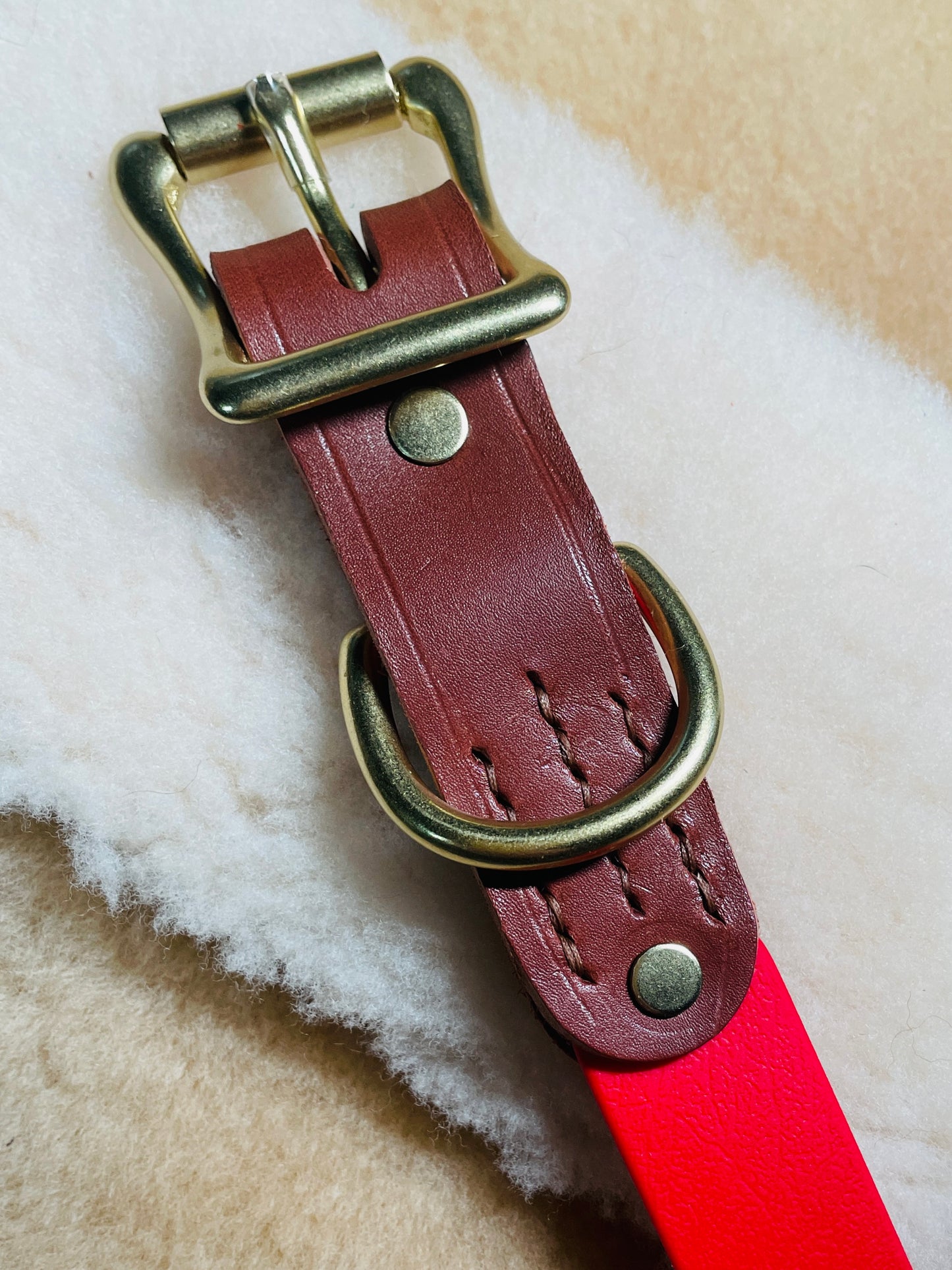 Two-Tone Italian Nut Brown Leather and Cherry Red Biothane Dog Collar w/Heavy Rustproof Solid Brass Roller Buckle and D-Ring, Sporty Weather Resistant Leather and Biothane Dog Collar