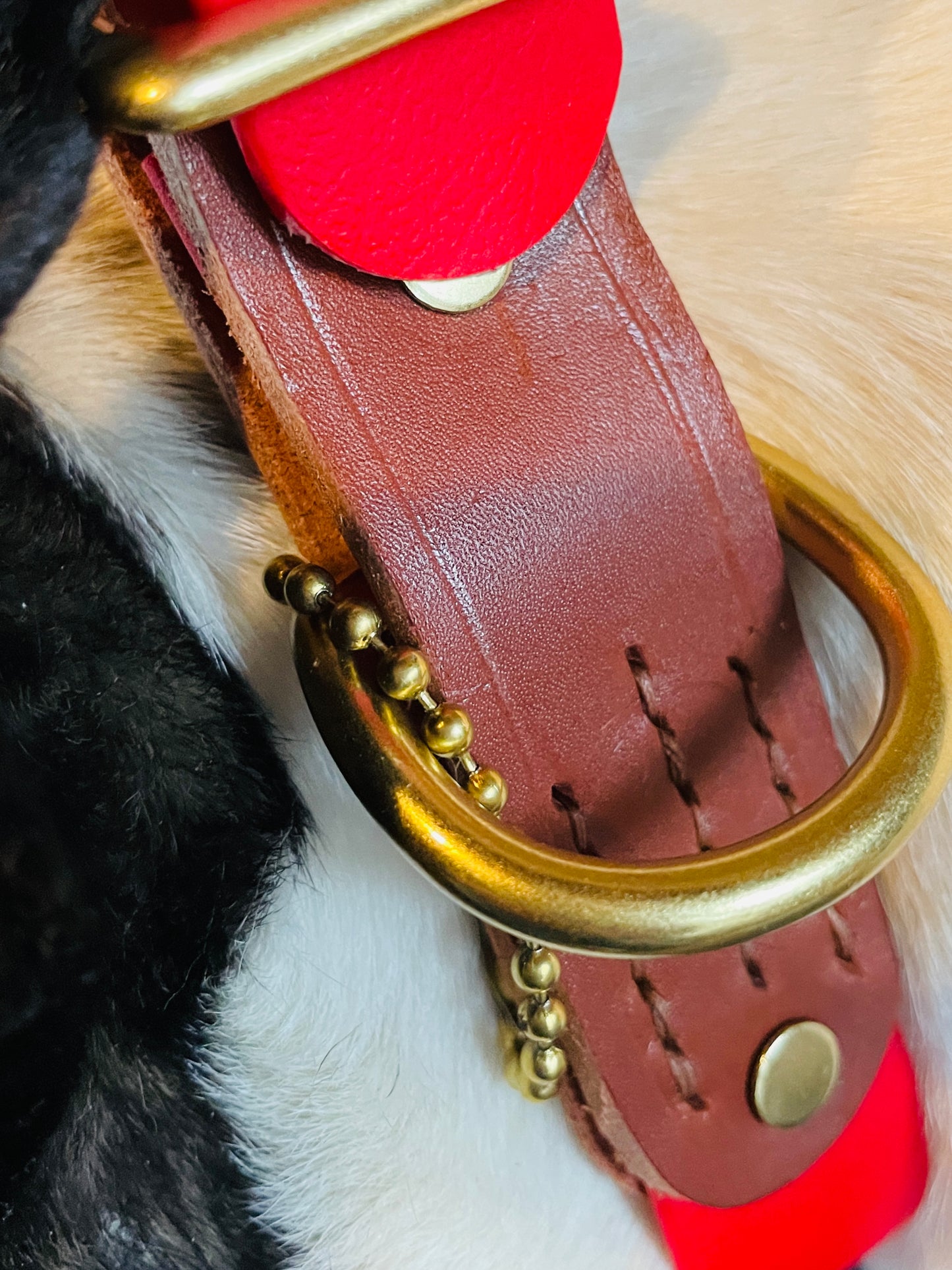 Two-Tone Italian Nut Brown Leather and Cherry Red Biothane Dog Collar w/Heavy Rustproof Solid Brass Roller Buckle and D-Ring, Sporty Weather Resistant Leather and Biothane Dog Collar