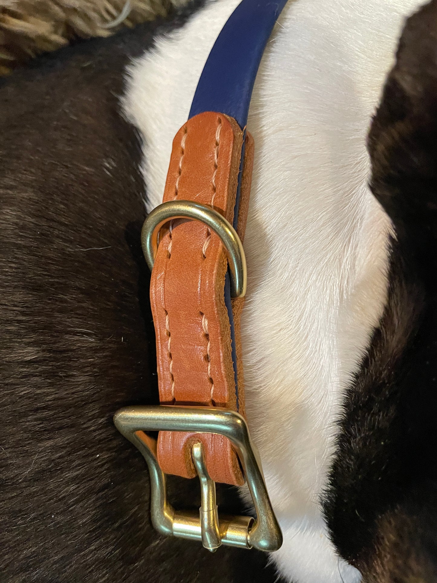 Chestnut and Navy Leather and Biothane Dog Collar, Sporty Weather Resistant Dog Collar