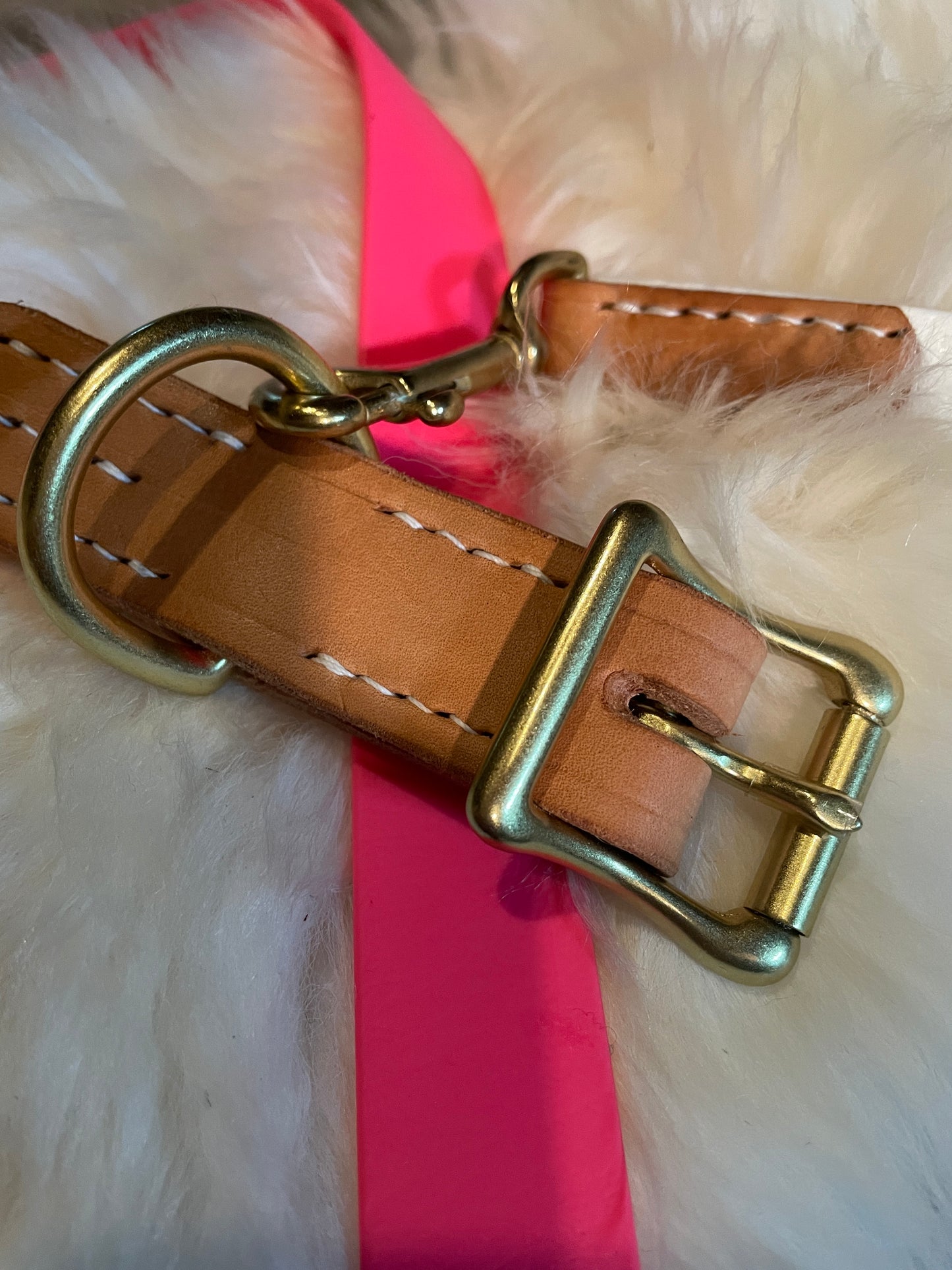 Two-Tone Natural American Vachetta Leather and Passion Fruit Pink Biothane Dog Collar w/Rustproof Shiny Solid Brass Roller Buckle and D-Ring, Fun and Sporty Bright Weather Resistant Leather and Biothane Collar