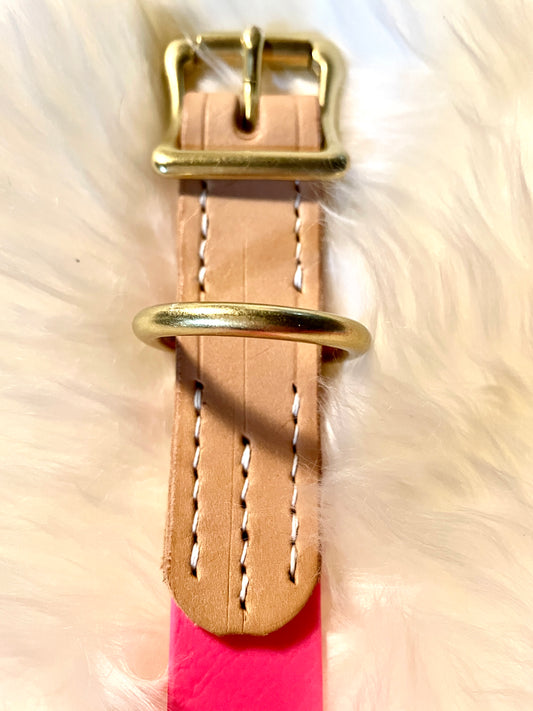 Two-Tone Natural American Vachetta Leather and Passion Fruit Pink Biothane Dog Collar w/Rustproof Shiny Solid Brass Roller Buckle and D-Ring, Fun and Sporty Bright Weather Resistant Leather and Biothane Collar