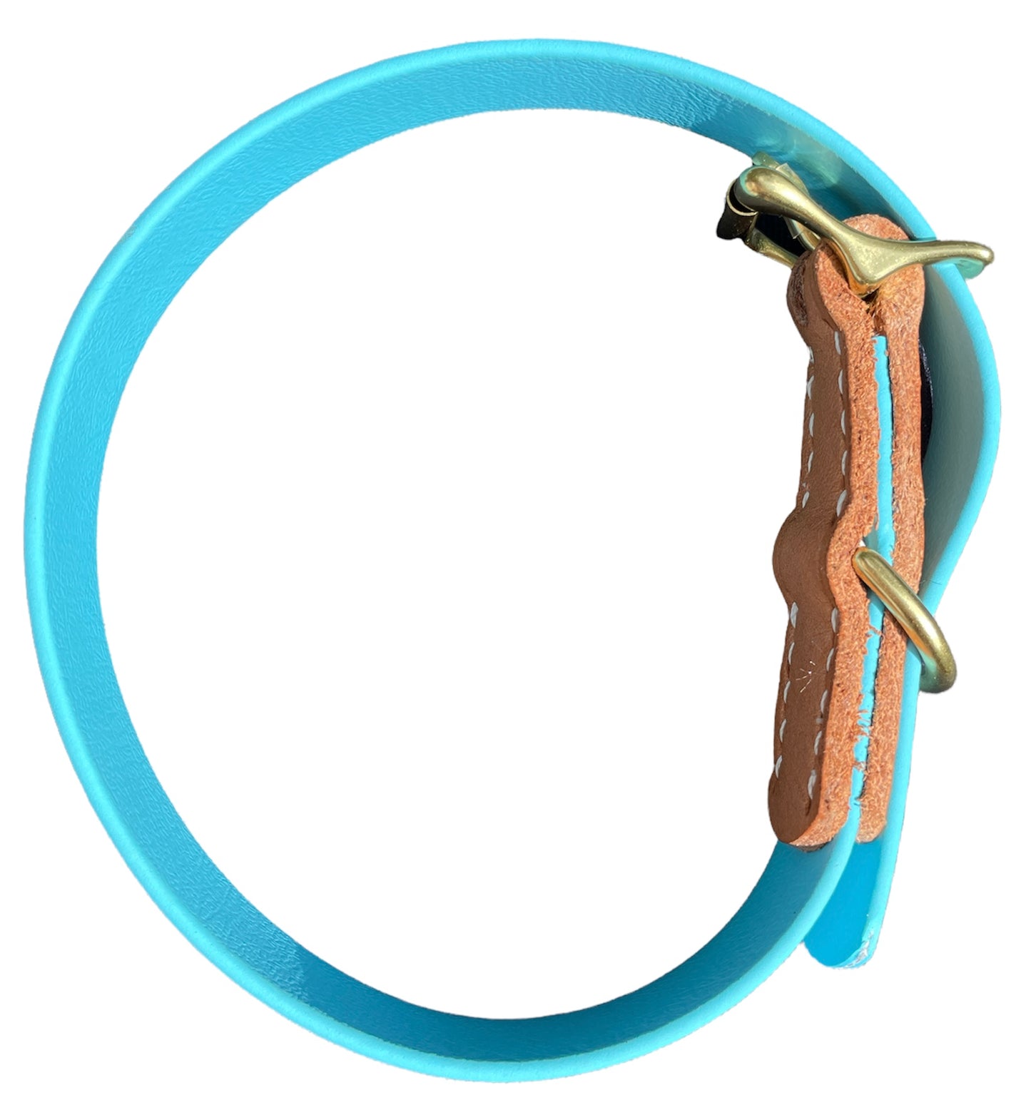 Sky Blue & Natural Veg-Tanned Leather and Biothane Collar and Leash